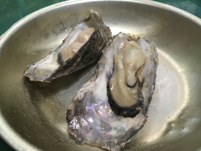解体協力会親睦会旅行参加
