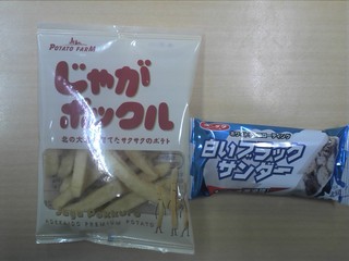 ２０１３年始動