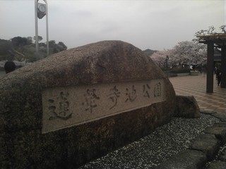 それはまるで〇〇〇のような