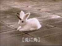折り返し地点～うさぎにつの