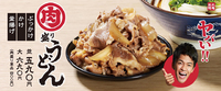 肉盛り丼