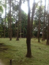 今年もよろしくお願いいたします