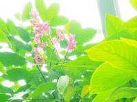 産後　育児を頑張っているママ☆