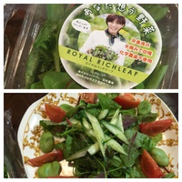 体に優しい野菜　見つけました
