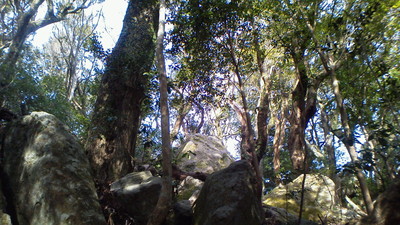 掛川　阿波々神社