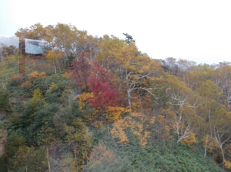 日本一早い紅葉を観に行く