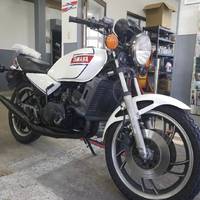 RZ250入荷！！そして続々とご成約ありがとうございます！ 2022/01/12 11:26:59