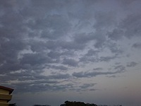 今年のラストスパート 2015/10/14 18:17:12