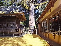 12月になりました 2015/12/01 15:28:06