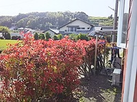 日曜･祝日休みになりました 2016/04/16 18:57:58