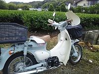 母の日 2016/05/09 12:55:17