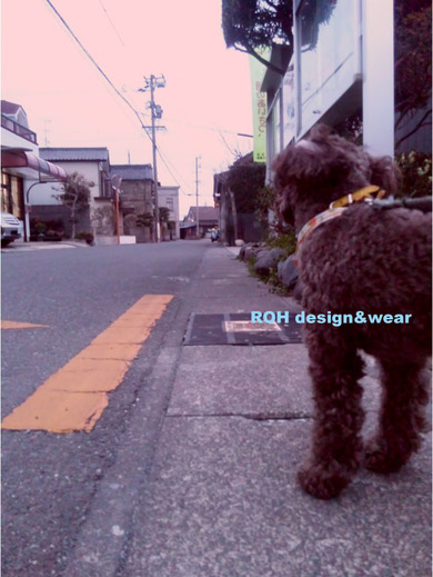 雨