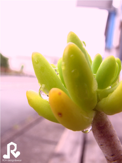 雨