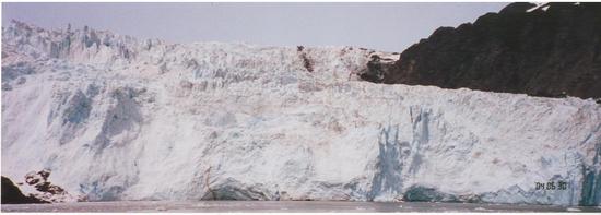 アラスカ【氷河で野生動物オンパレード】