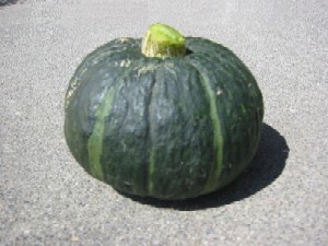 旬の一品