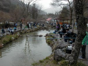 ヤマメ平