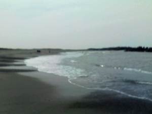 やっと週末