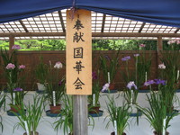伊勢珍道中