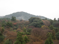 雨の京都