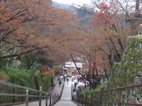 雨の京都