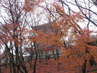 雨の京都