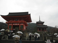雨の京都
