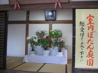 2008　初詣