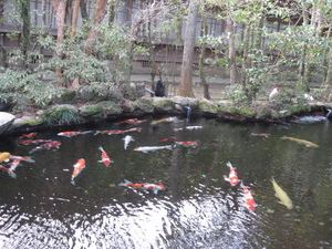 伊勢神宮　参拝