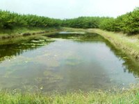 もう９月かぁ～