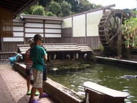 型にはまらないクドカン！