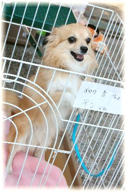 涙が・・・・・
