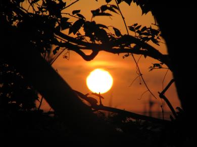 夕日