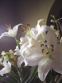 産まれました〜