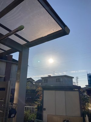 お天道様と自律神経