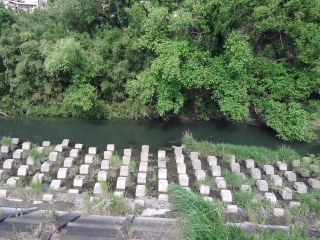 解禁前日・・　(#^.^#)♪