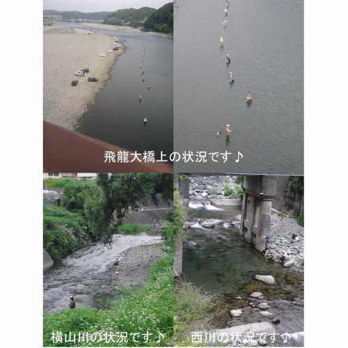 天竜川鮎解禁　２日目♪