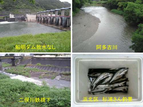 鮎、20日報告～♪