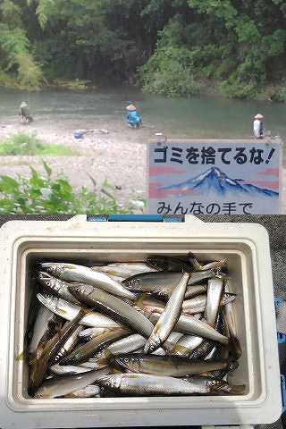 近況報告～♪(^_^)v。