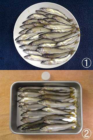 最近の釣果♪♪