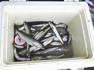 ７月９日報告♪♪