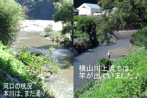 鮎の餌釣り復活！♪