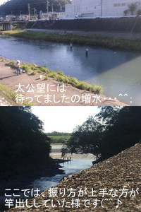 鮎の餌釣り復活！♪ 2013/09/20 02:39:39