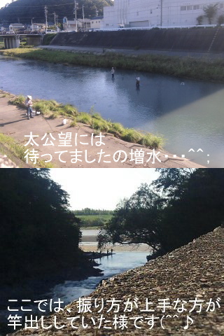 鮎の餌釣り復活！♪