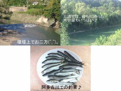 鮎の餌釣り復活！♪