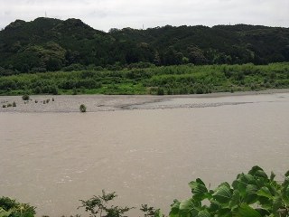 解禁一ヵ月後の雨・・(^_^)v♪