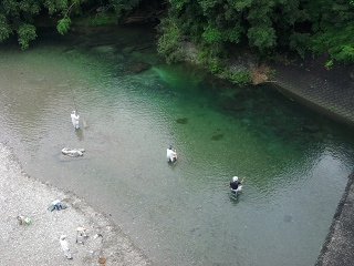 釣れ出しましたっ！！♪