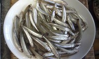 14年　水窪ダムワカサギ好釣～♪(^_^)v。 2014/12/26 23:35:35