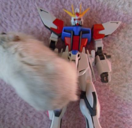 【HGBF】 スタービルドストライクガンダム プラフスキーウイング　部分塗装完了