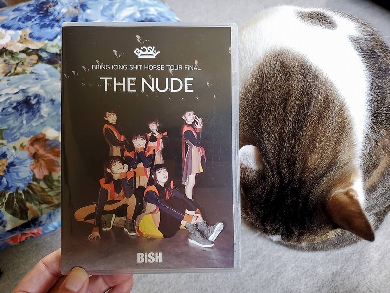 BiSHのおすすめDVD「RiNG iCiNG SHiT HORSE TOUR FiNAL “THE NUDE”」