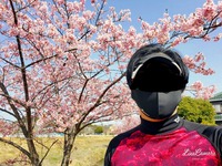 春を探すウォーキング（時々ジョグ）